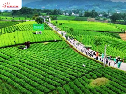 Thái Nguyên là một trong những tỉnh trung tâm của vùng trung du miền núi Bắc Bộ, là cửa ngõ giao lưu kinh tế xã hội giữa vùng trung du miền núi với vùng đồng bằng Bắc Bộ
